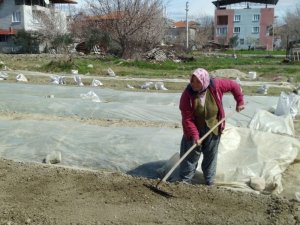 Tütüncülerin Telaşı Başladı