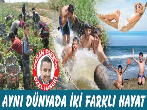 Aynı Dünyada İki Farklı Hayat