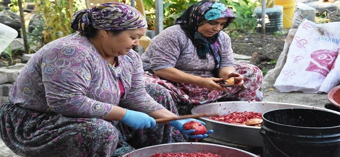 Nar ekşisinin zahmetli yolculuğu başladı