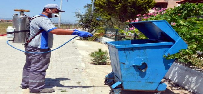 Dikili’de Haşerelerle Mücadele Başladı