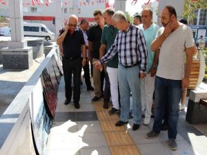 Söke’de ’Milli İradenin Yükselişi’ Fotoğraf Sergisi