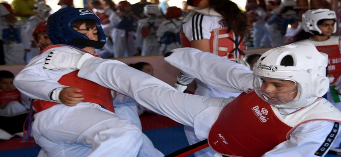 Miniklerin Taekwondo Turnuvasında Dostluk Kazandı