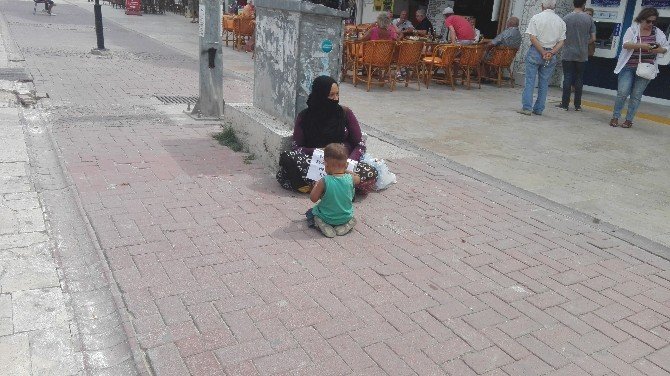 Aydın’da Dilencilikle Mücadele Eylem Planı Uygulamaya Konuldu