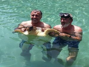 Caretta Caretta’ya Yardım Eli